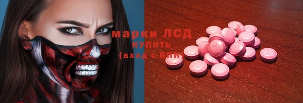 spice Инсар