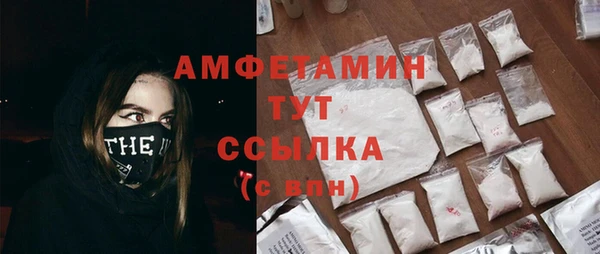 стафф Инта