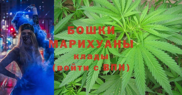 индика Иннополис