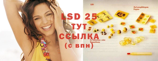 стафф Инта