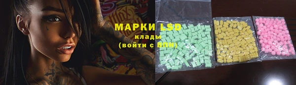 индика Иннополис