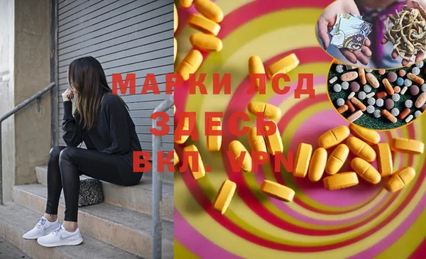 spice Инсар