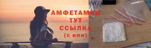 индика Иннополис
