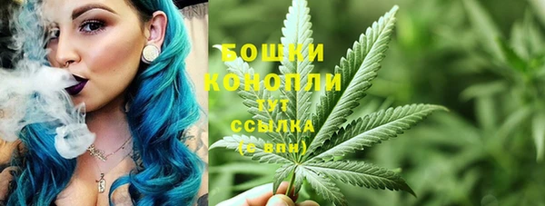 стафф Инта