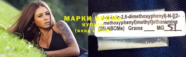 spice Инсар