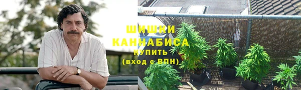 СК Каменск-Шахтинский