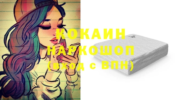 стафф Инта