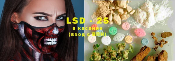 стафф Инта
