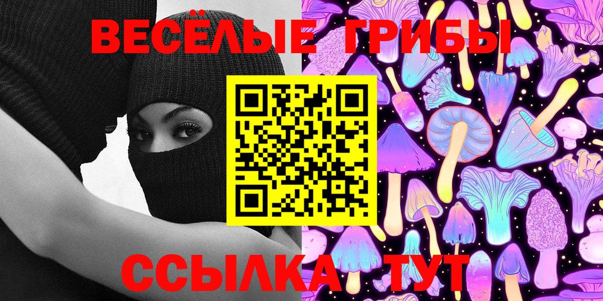 Псилоцибиновые грибы MAGIC MUSHROOMS Тамбов