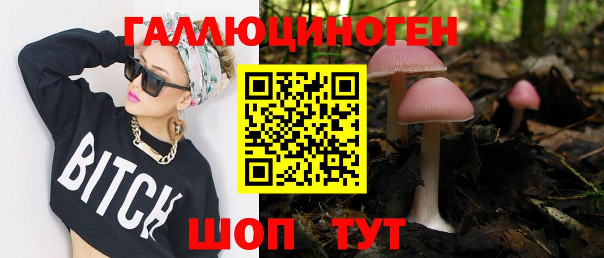 Тамбов  купить закладку  Вход с VPN  Галлюциногенные грибы мухоморы 